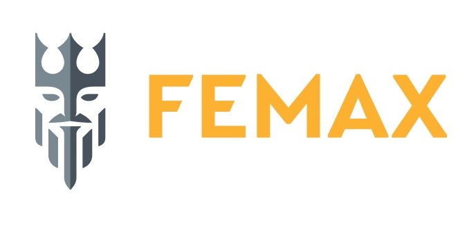 Nowe logo sieci salonów Femax.
