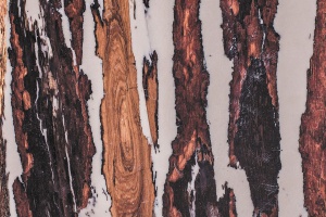 Materiał z naturą - nowy pomysł zespołu Marcina Jędrzaka